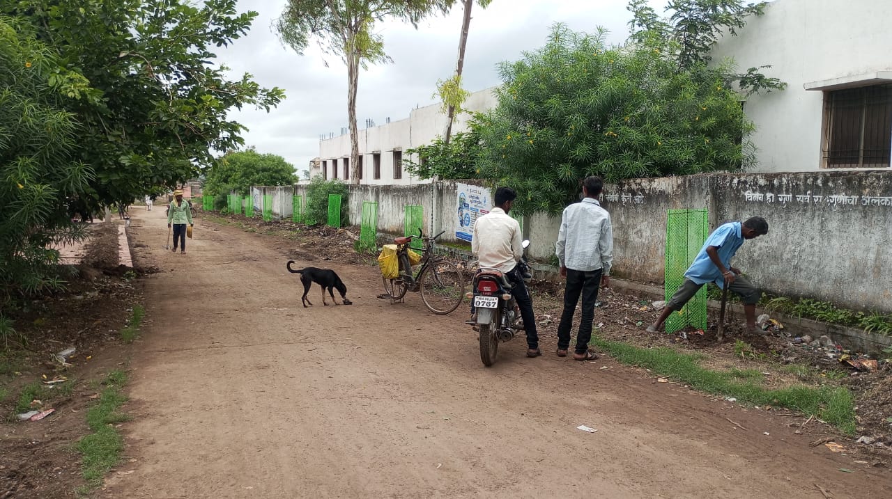 वृक्षलागवड